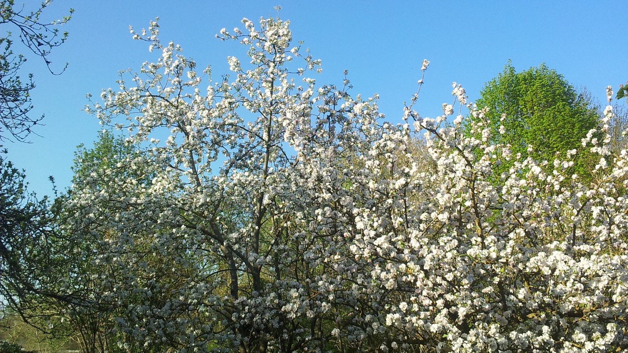 Photo of Outdoor in La Neuville-sur-Essonne