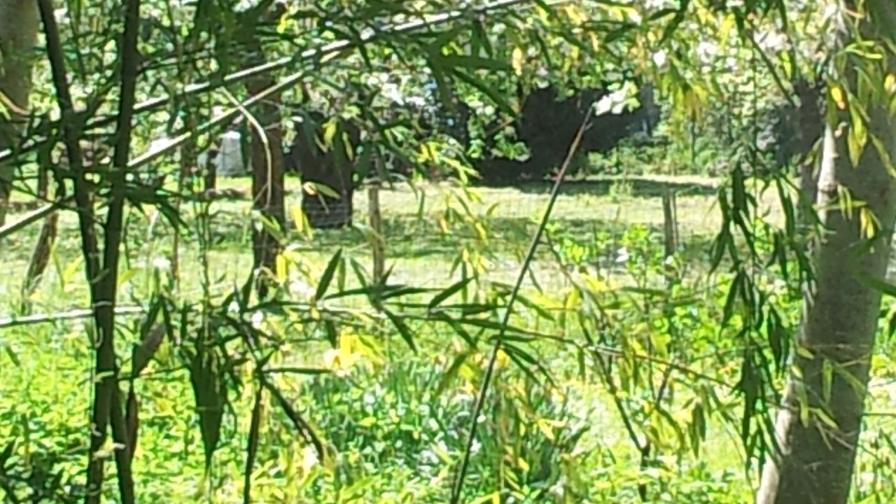 Photo of Outdoor in La Neuville-sur-Essonne