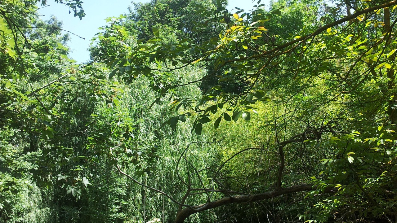Photo of Outdoor in La Neuville-sur-Essonne