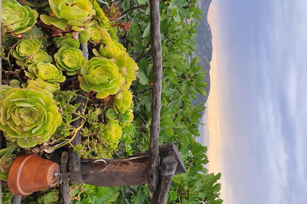 Photo of Outdoor in Marine de Davia