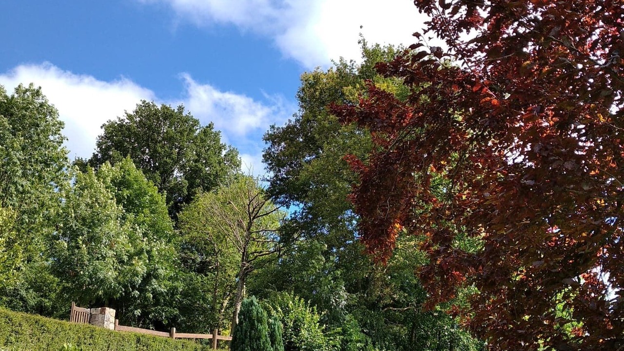 Photo of Outdoor in Domfront