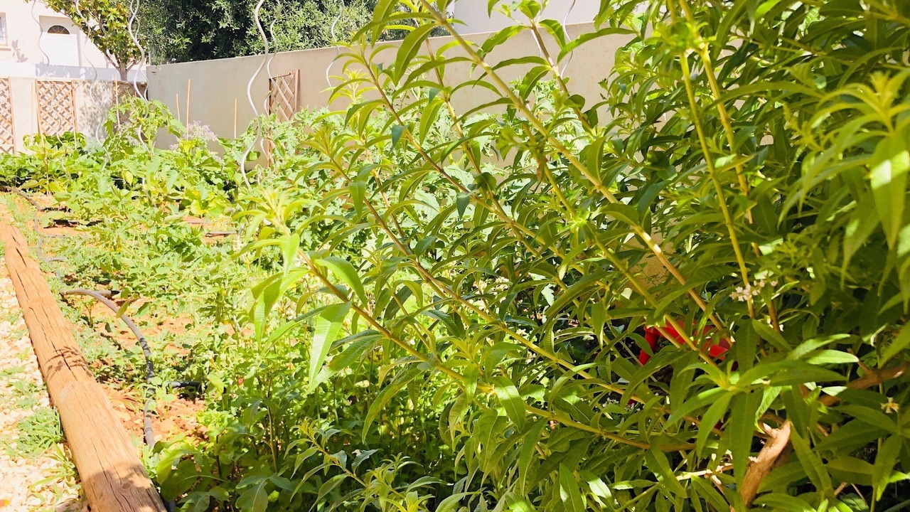 Photo of Outdoor in Vendargues