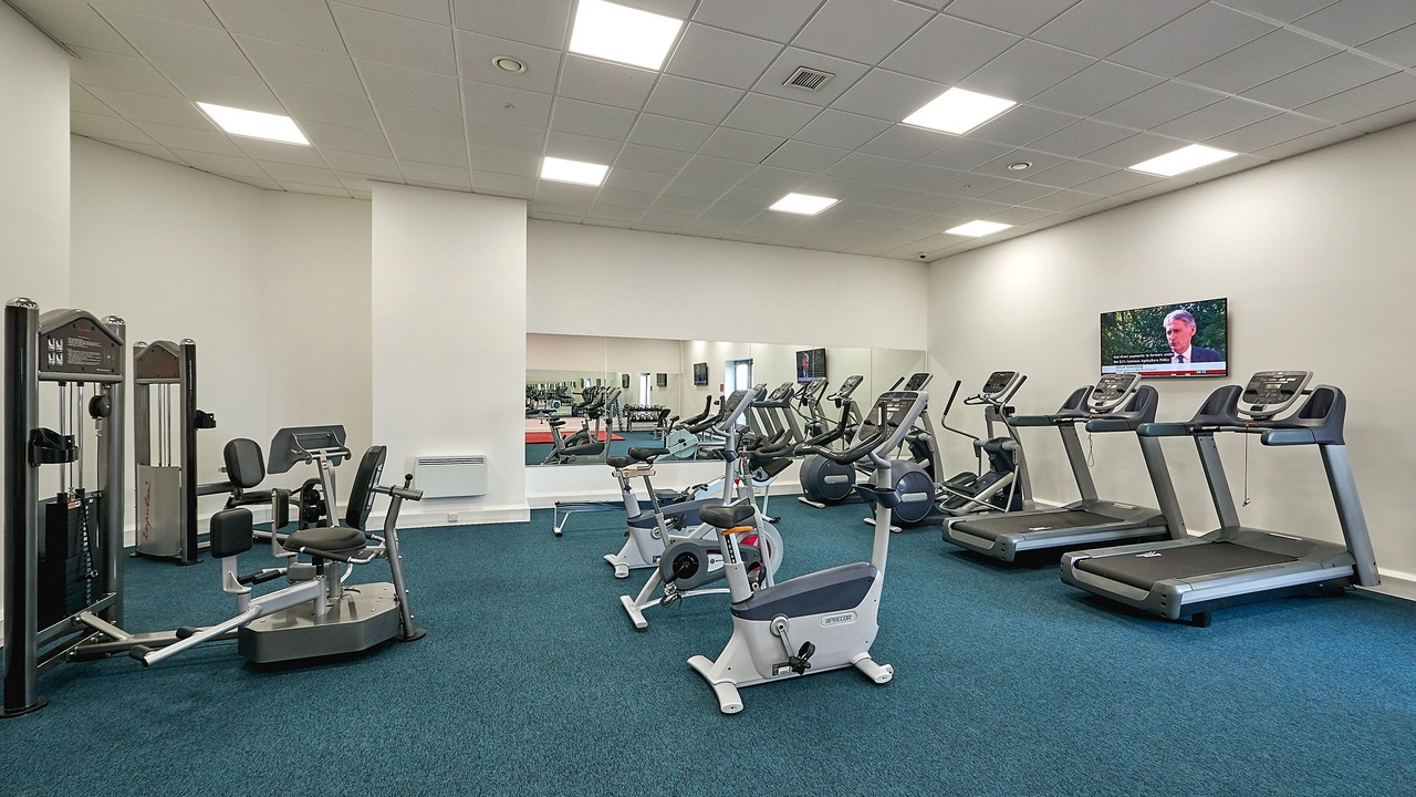 Photo of Others in The Westside