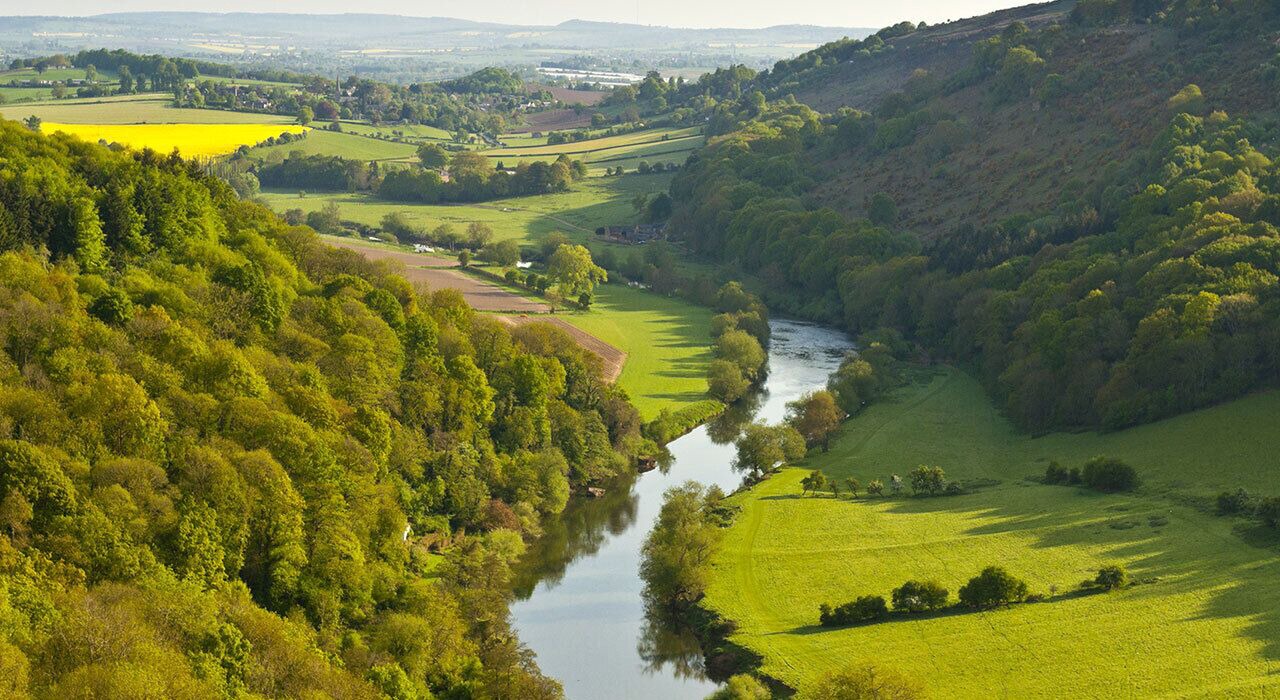 Photo of Outdoor in Pontcanna