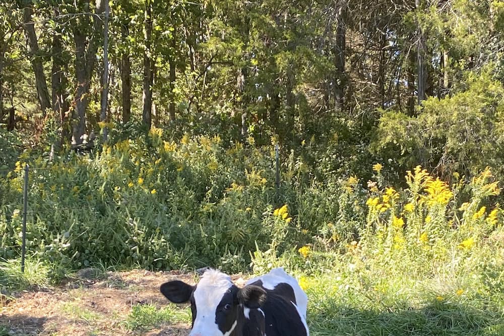 Photo of Outdoor in Sullivan