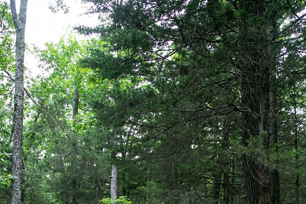 Photo of Others in Sullivan