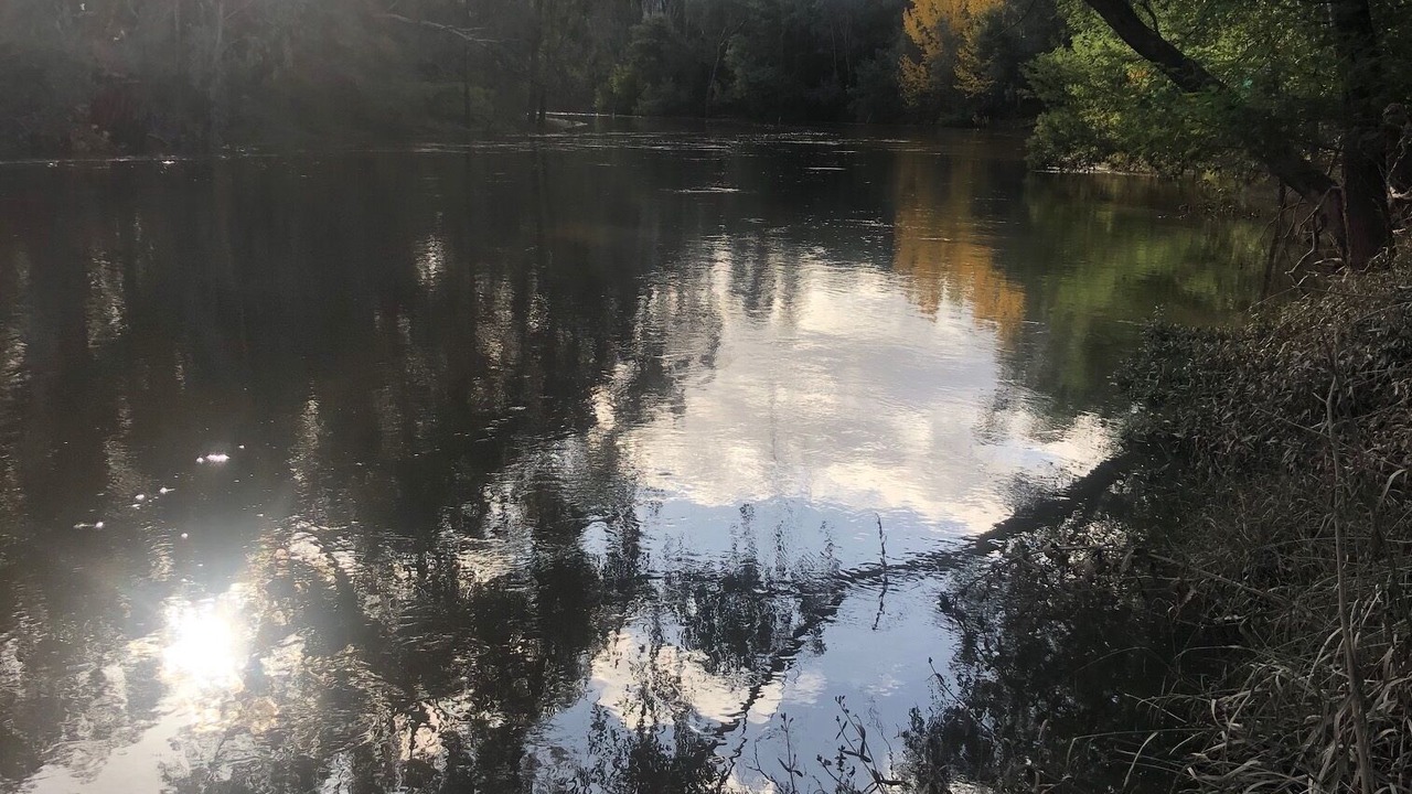 Photo of Outdoor in East Wangaratta