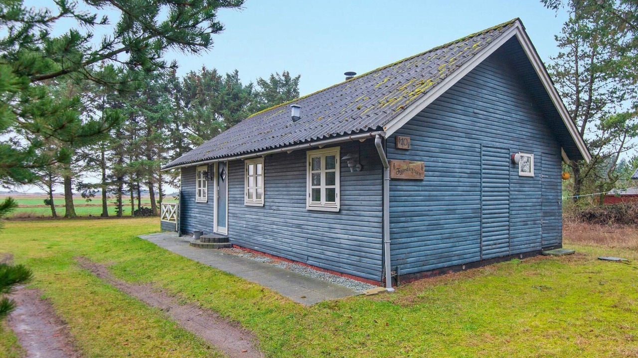 Photo of Outdoor in Sondervig
