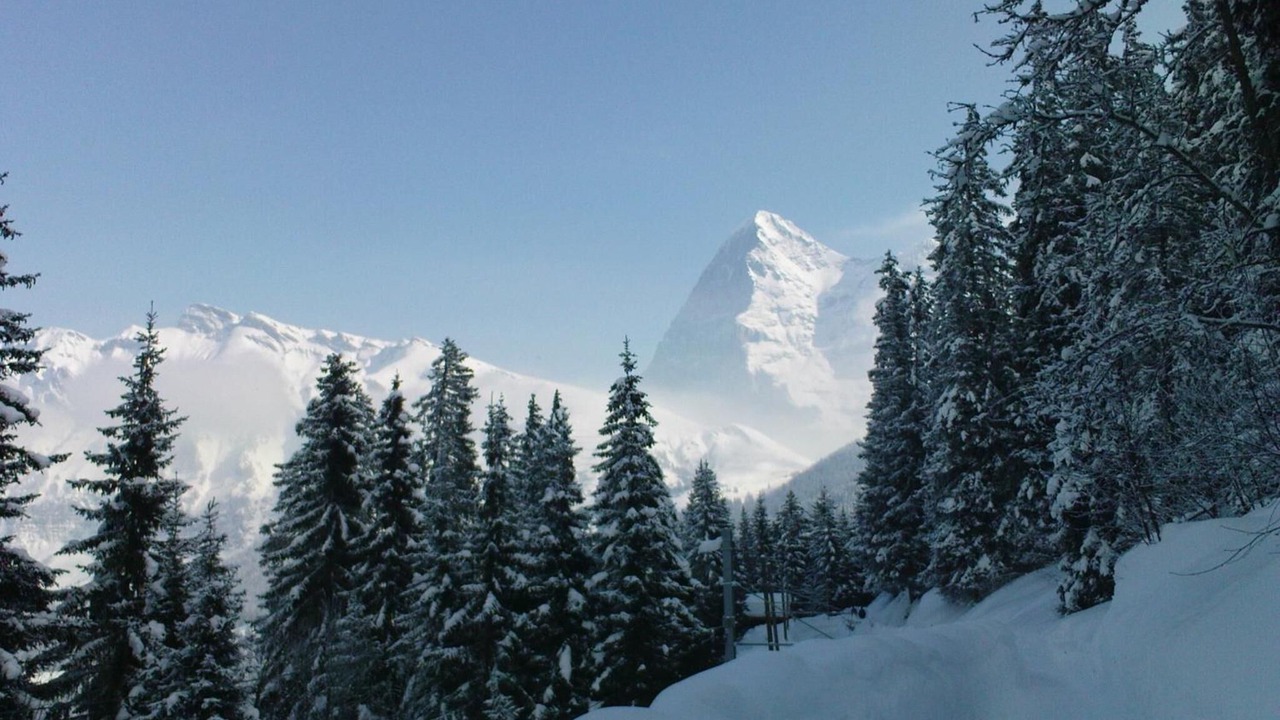 Photo of Others in Gimmelwald