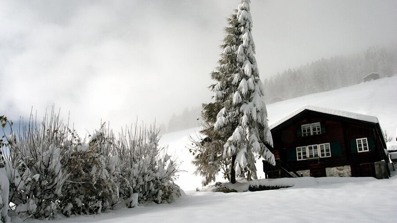 Photo of Others in Gimmelwald