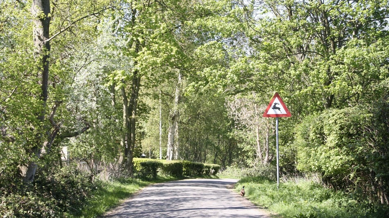 Photo of Outdoor in Vindeby