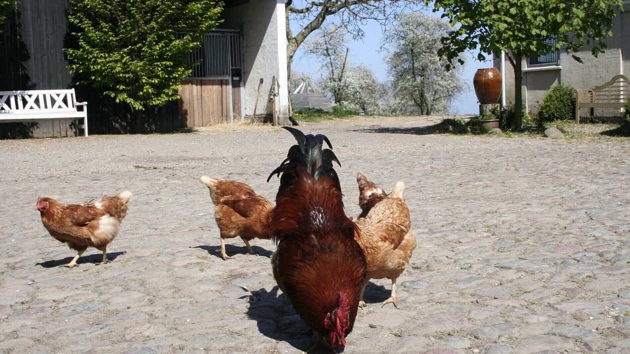 Photo of Others in Vindeby