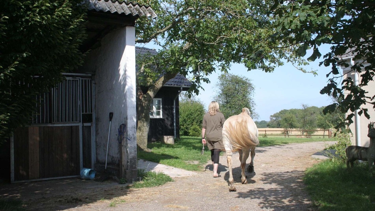 Photo of Outdoor in Vindeby