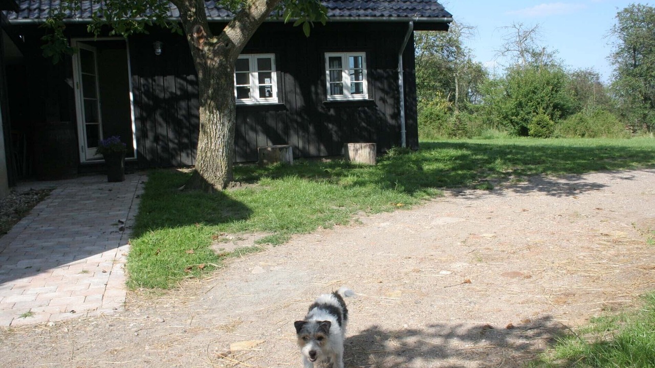 Photo of Outdoor in Vindeby