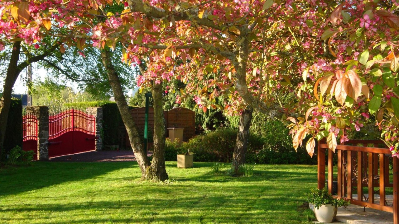 Photo of Outdoor in Tremereuc