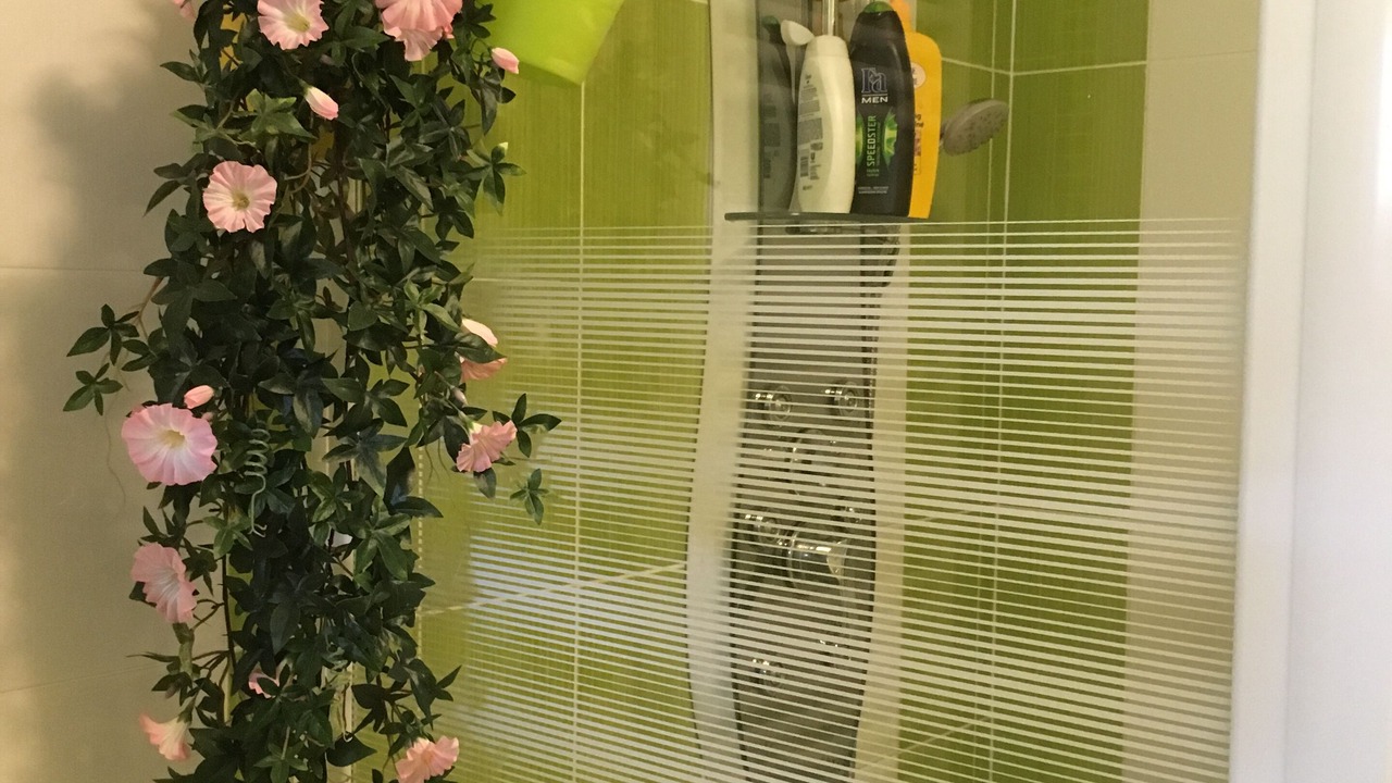 Photo of Others in Saint-Germain-Langot