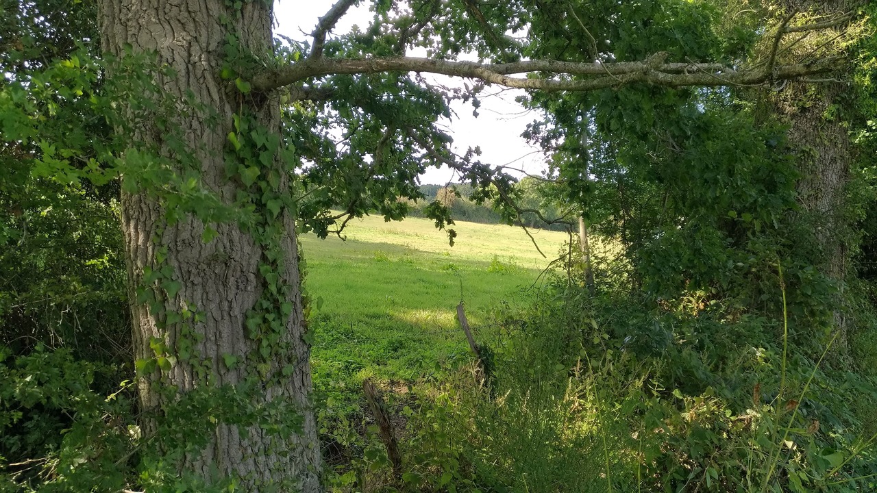 Photo of Outdoor in Saint-Germain-Langot