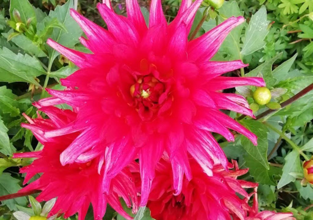 Photo of Outdoor in Saint-Germain-Langot