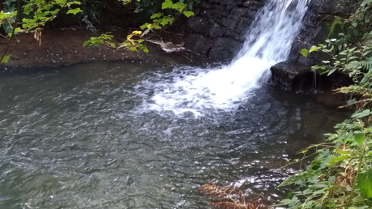 Photo of Outdoor in Saint-Germain-Langot