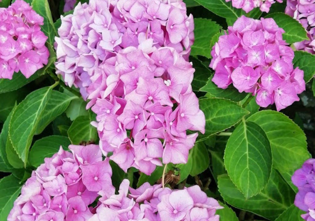 Photo of Others in Saint-Germain-Langot