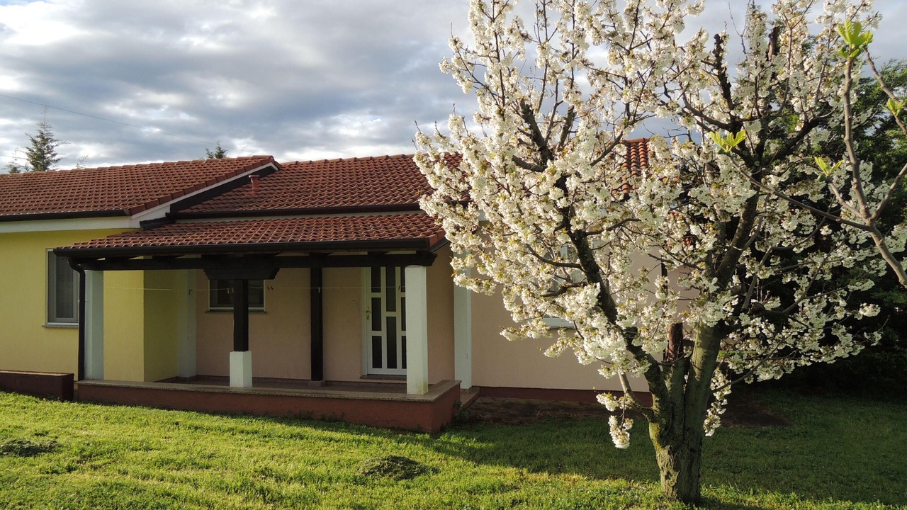 Photo of Outdoor in Vrvari