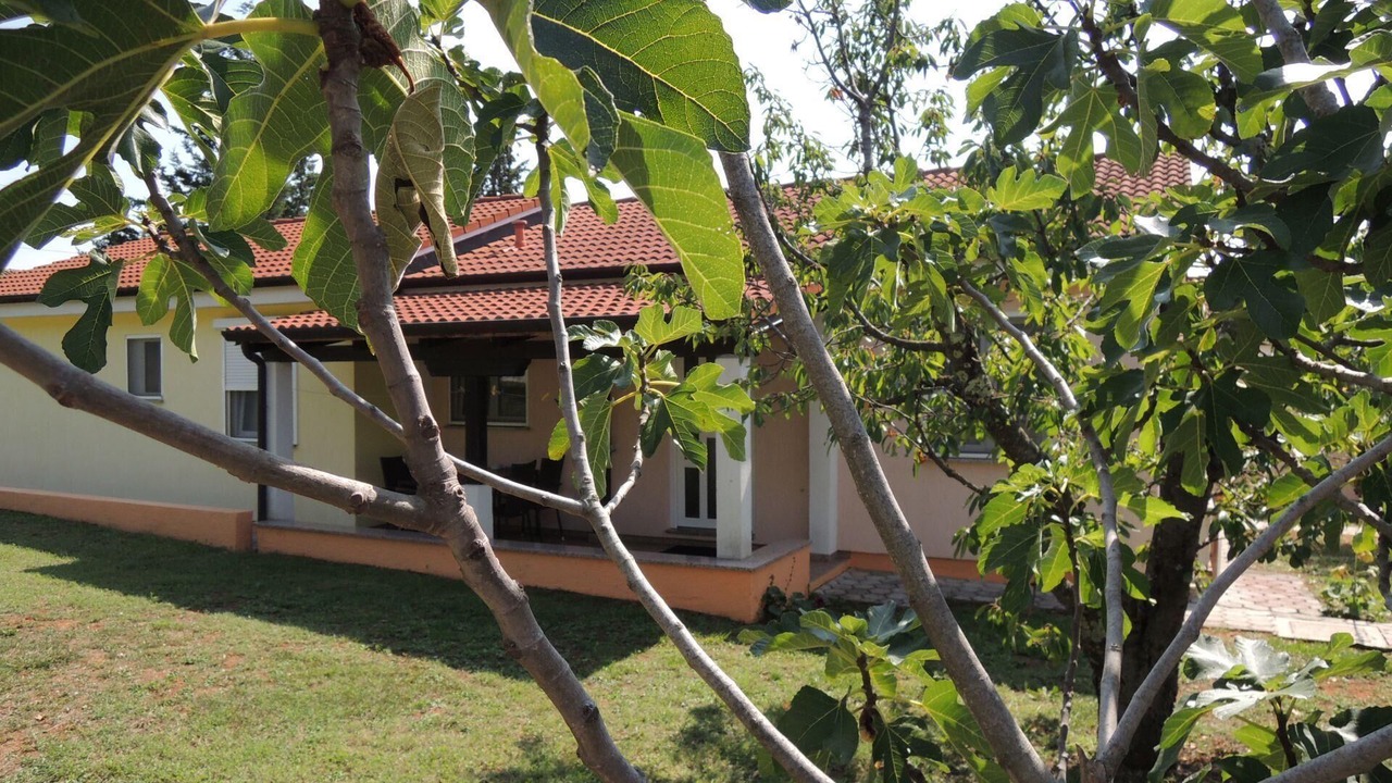 Photo of Outdoor in Vrvari