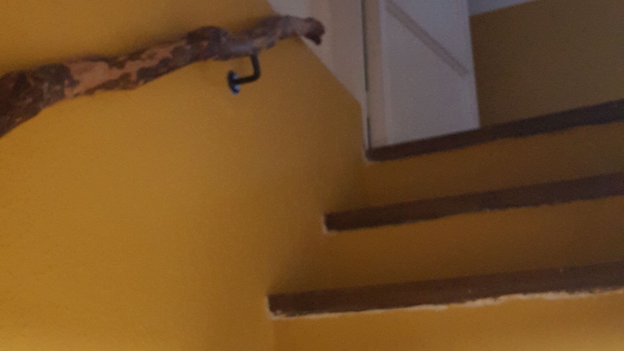 Photo of Others in L'Argentera