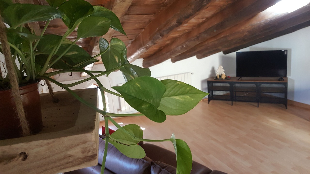 Photo of Bedroom in L'Argentera