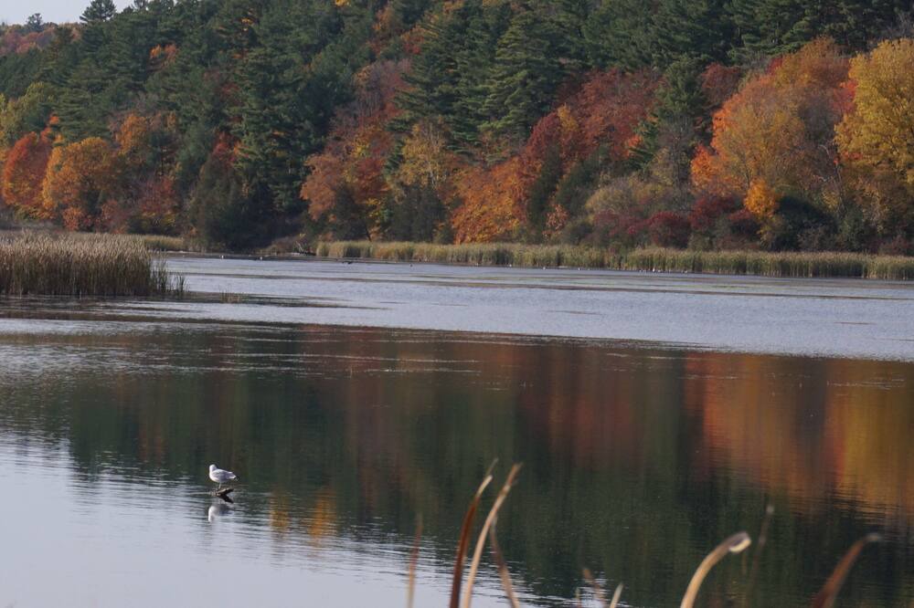 Photo of Outdoor in Westport