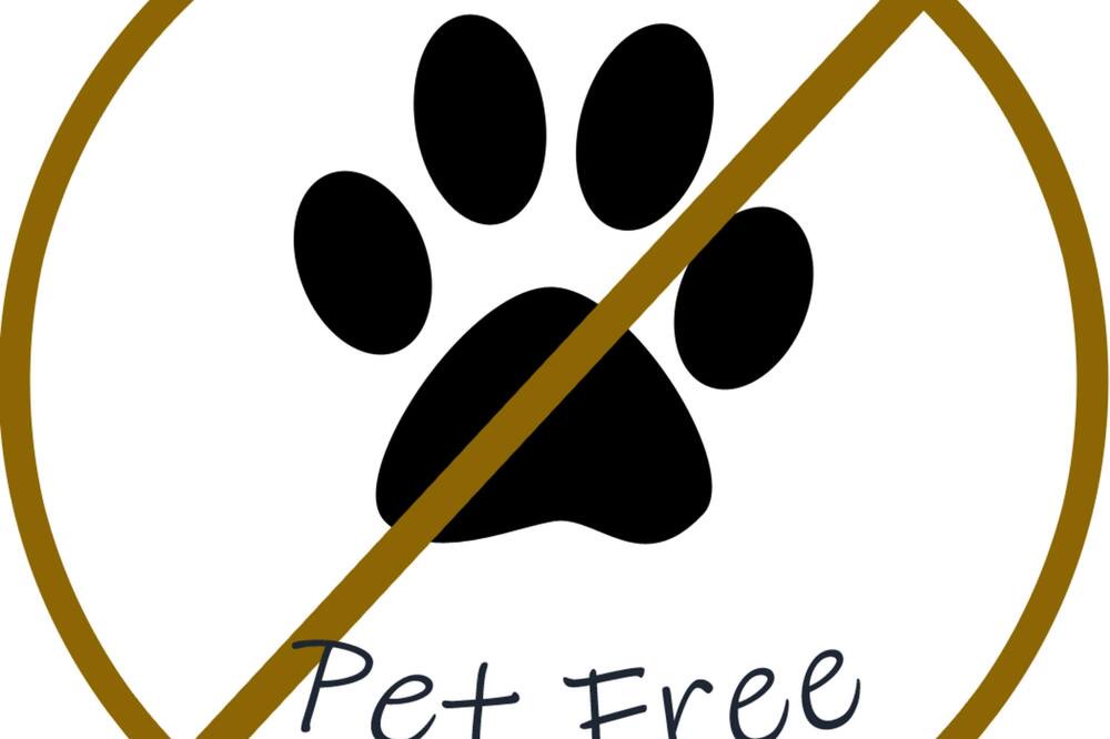 Photo of Bedroom in Ashland