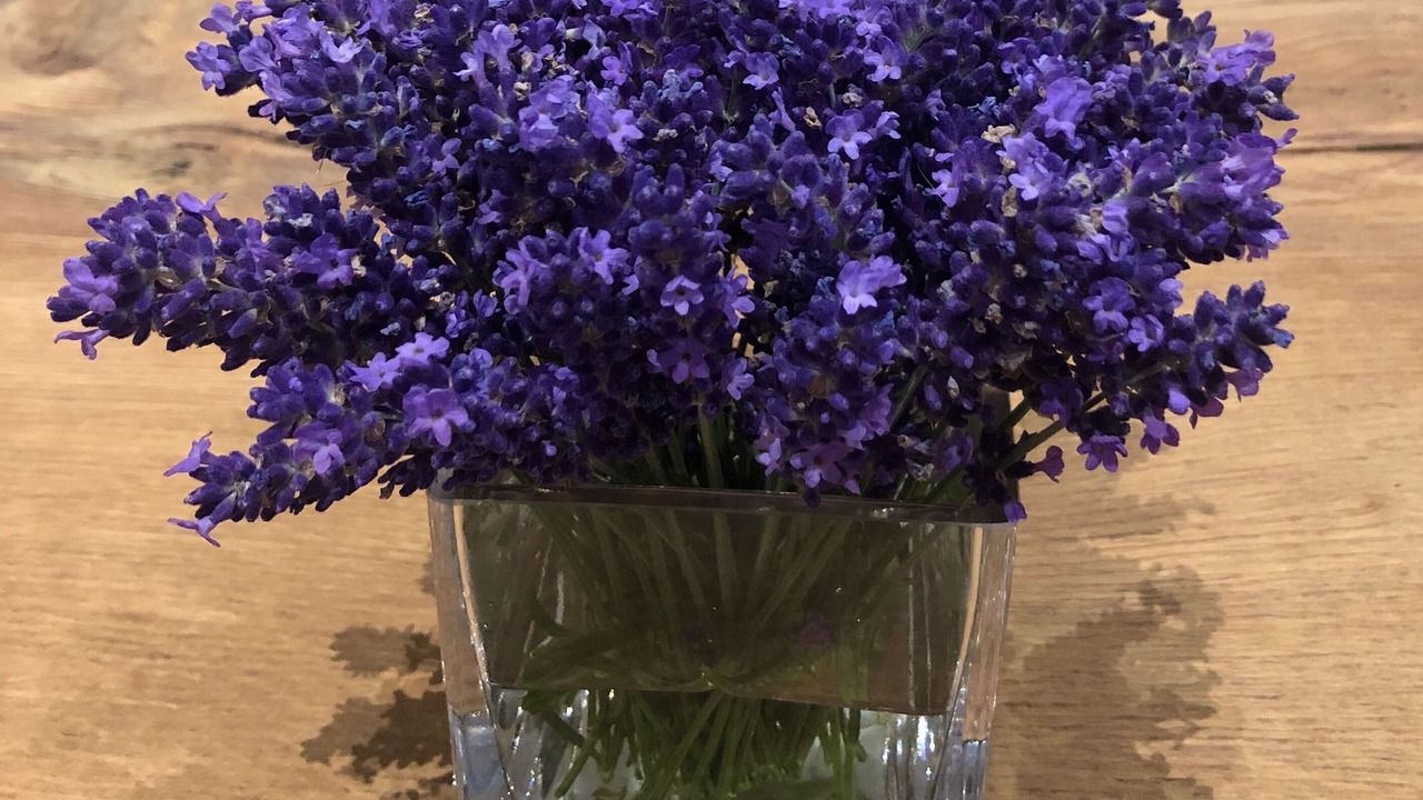 Photo of Others in Saint-Magne-de-Castillon