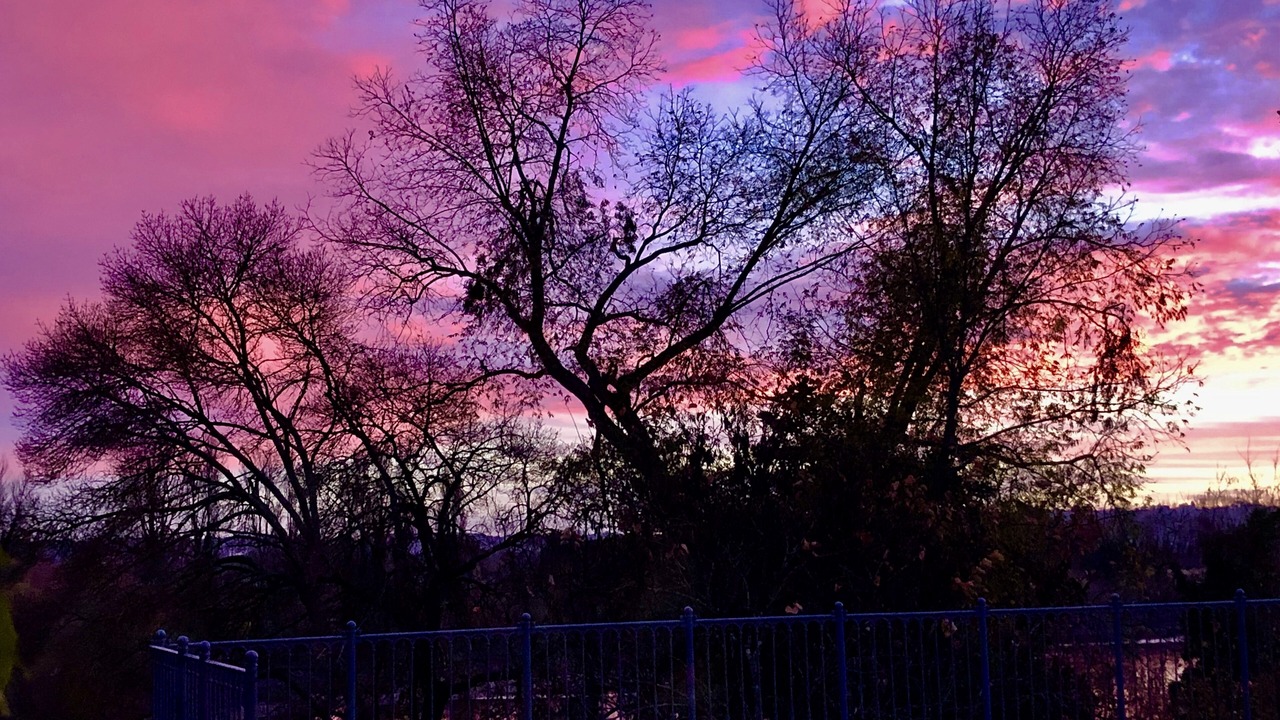 Photo of Others in Saint-Magne-de-Castillon