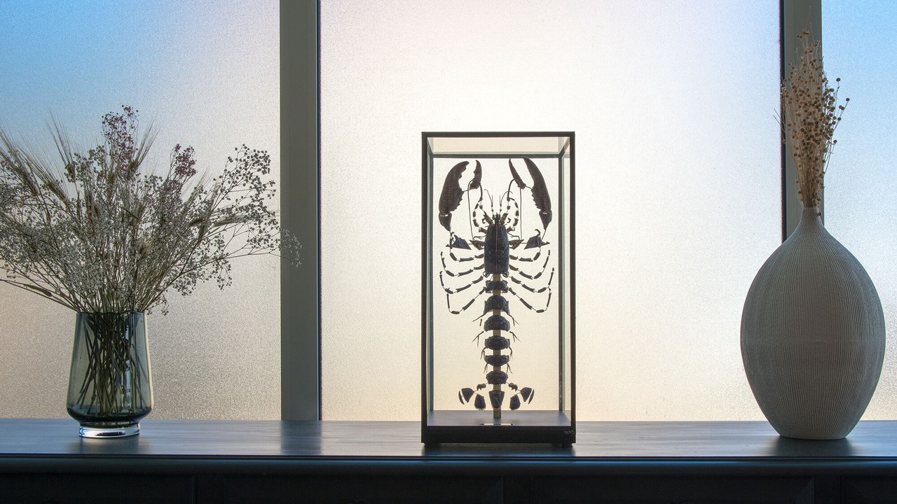 Photo of Others in Saint-Trojan-les-Bains