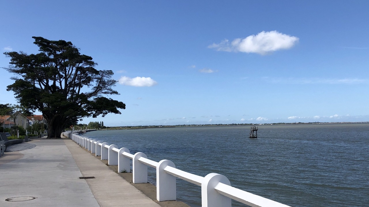 Photo of Others in Saint-Trojan-les-Bains