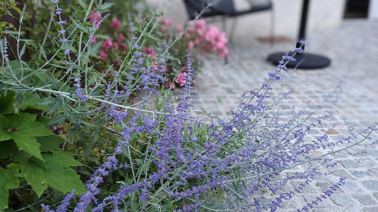 Photo of Outdoor in Montreuil-sur-Mer