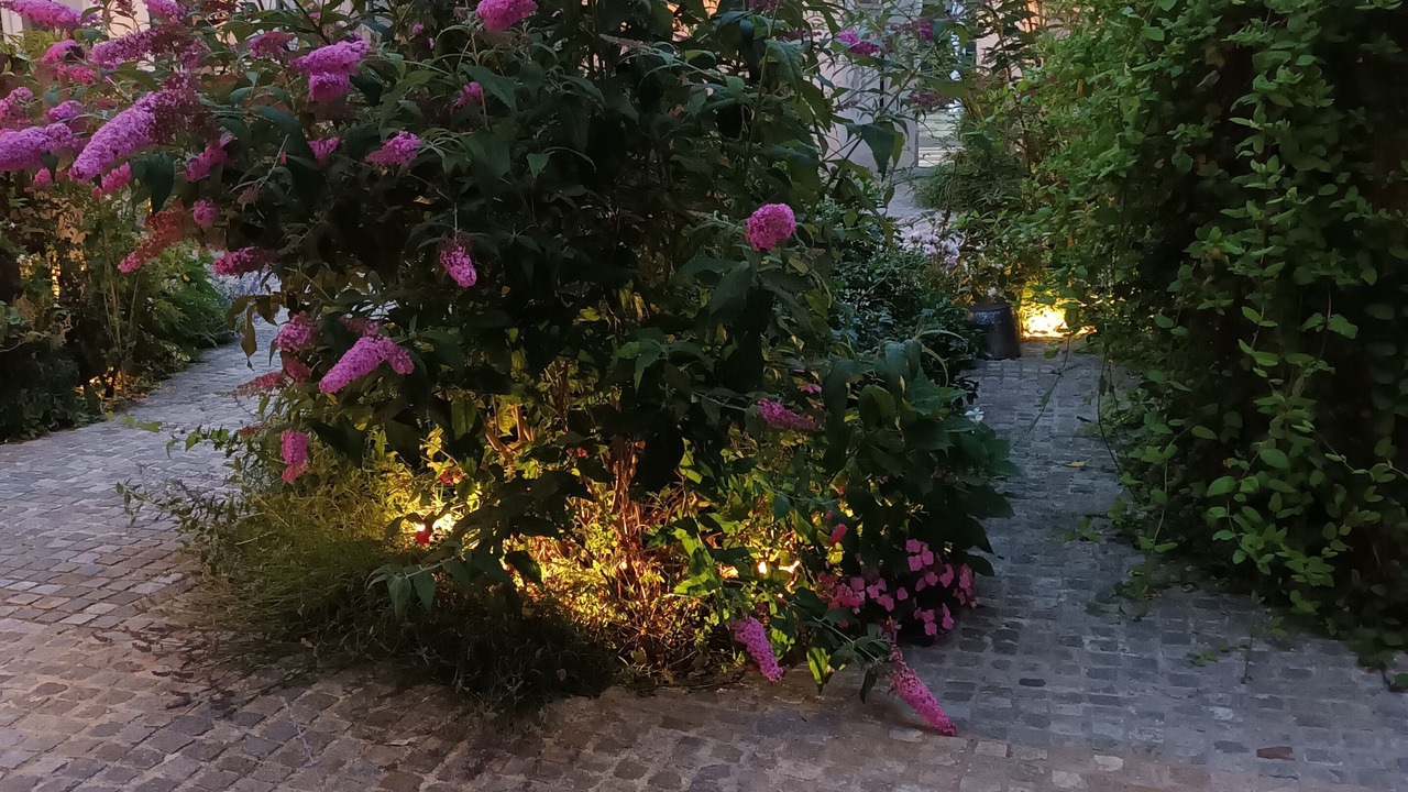 Photo of Outdoor in Montreuil-sur-Mer