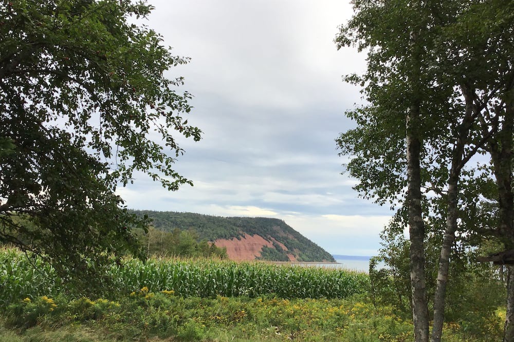 Photo of Others in Kingsport