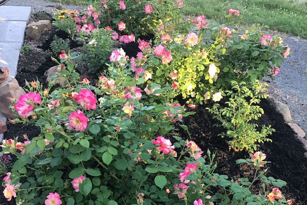 Photo of Outdoor in Kingsport