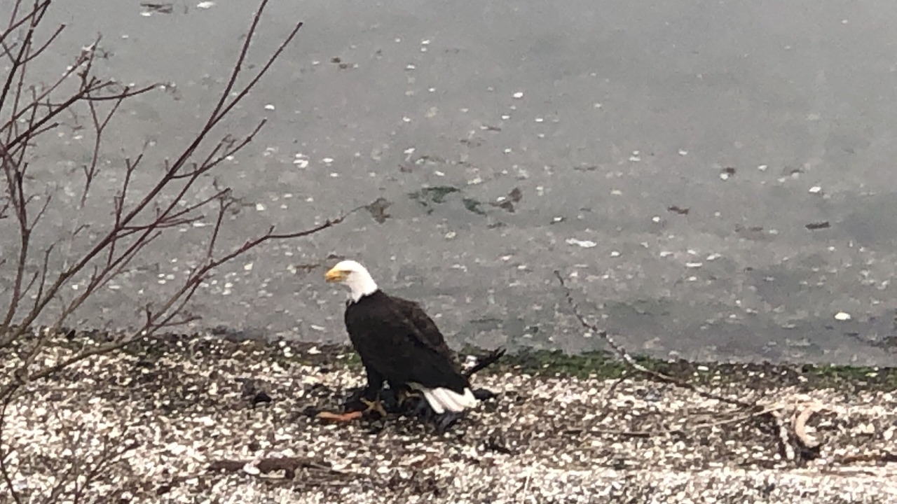 Photo of Others in Olympia