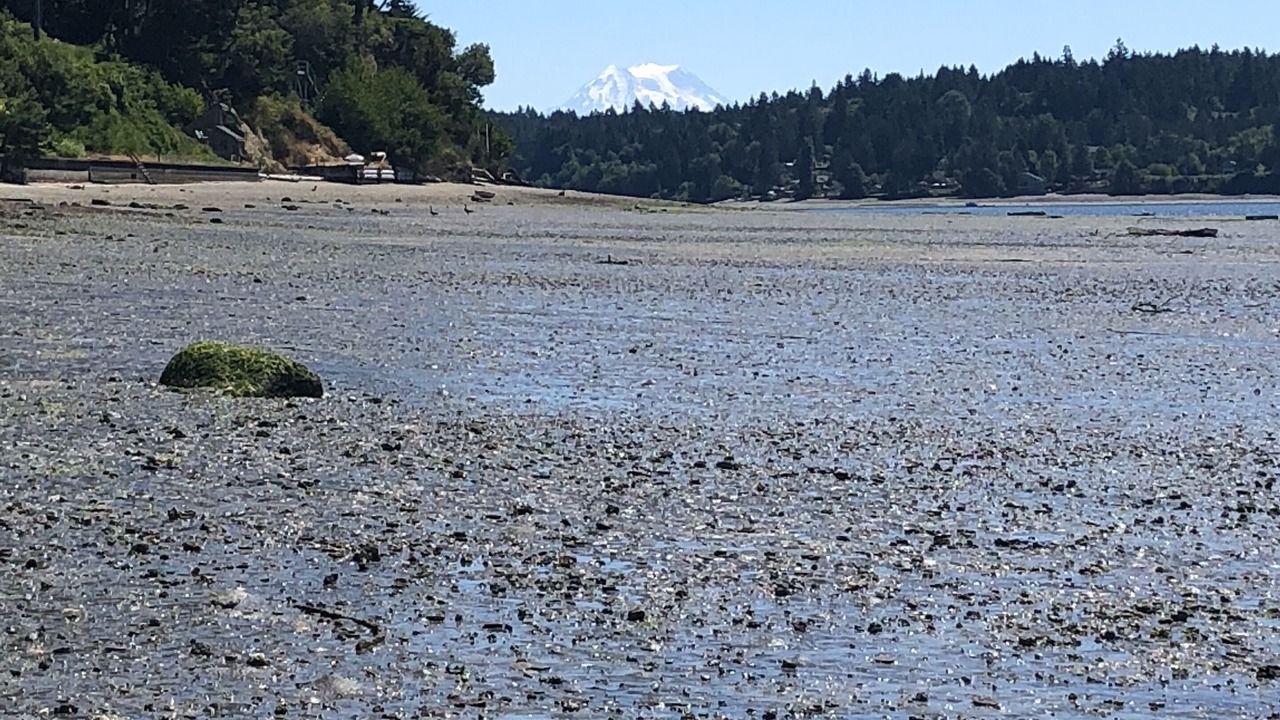 Photo of Others in Olympia