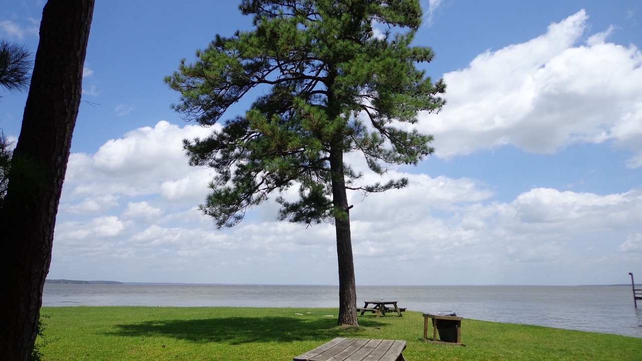 Photo of Outdoor in Cape Royale