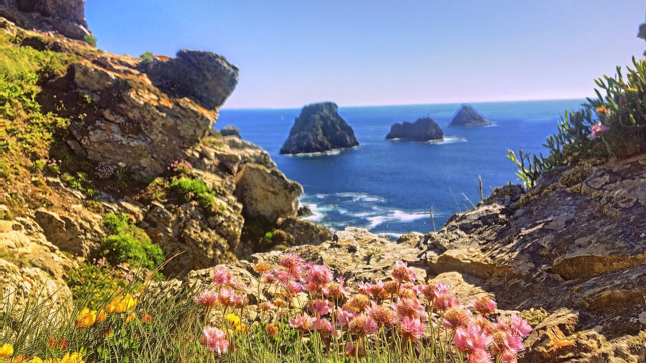 Photo of Outdoor in Roscanvel