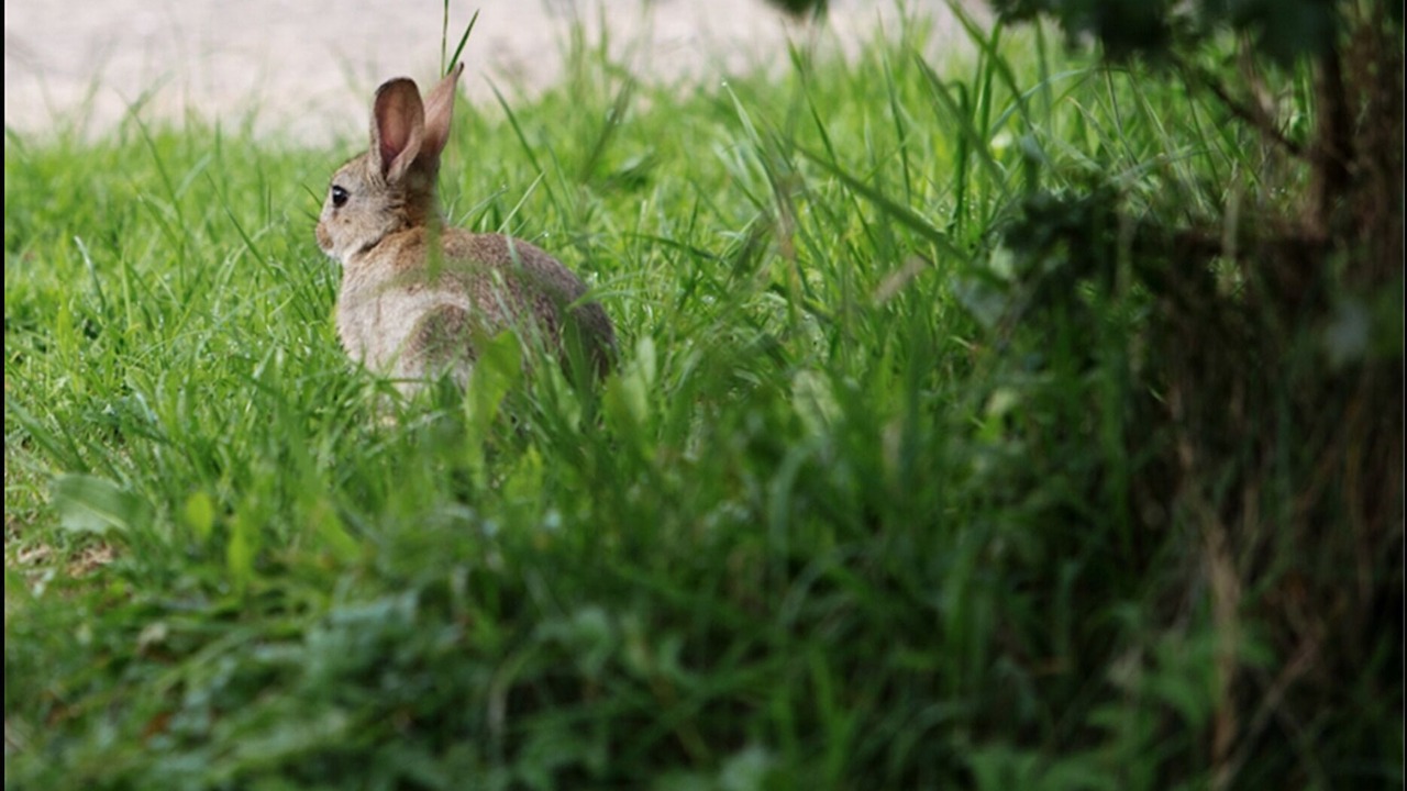 Photo of Bathroom in Warton