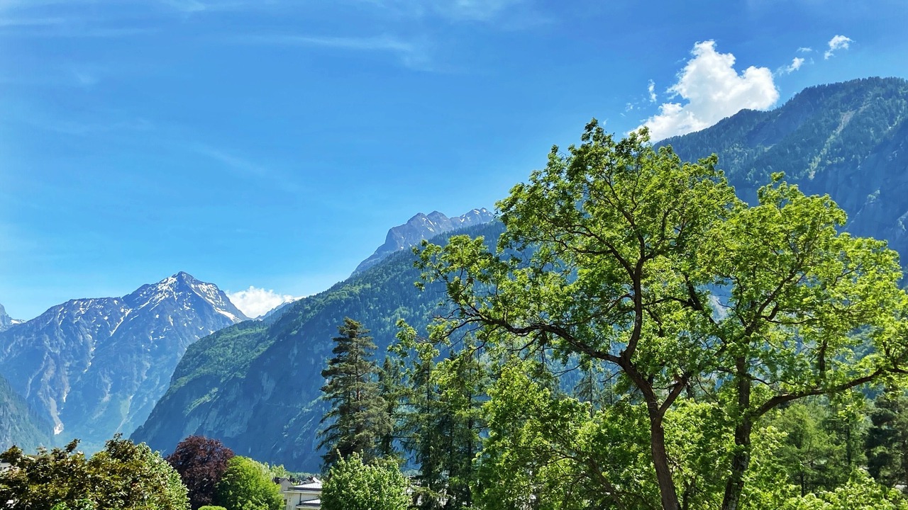 Photo of Bedroom in Le Bourg-d'Oisans