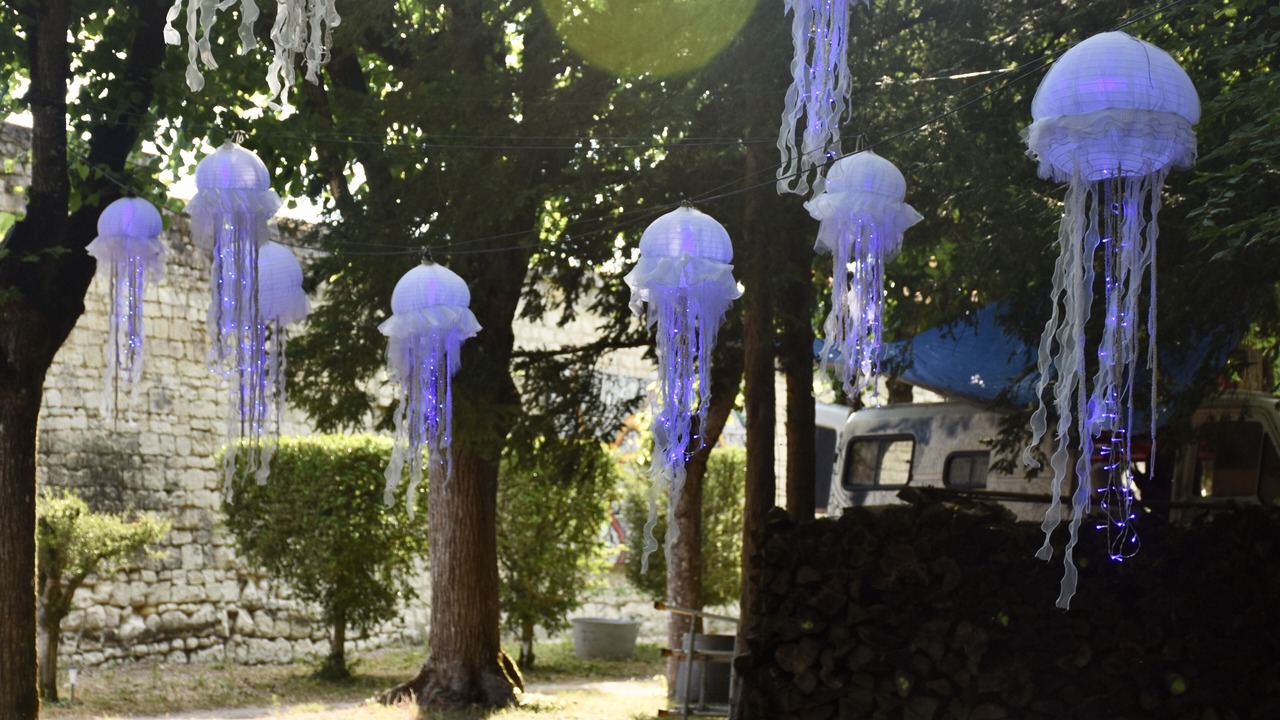 Photo of Outdoor in Candes-Saint-Martin
