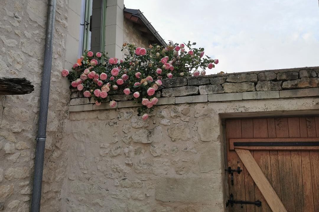 Photo of Outdoor in Trogues