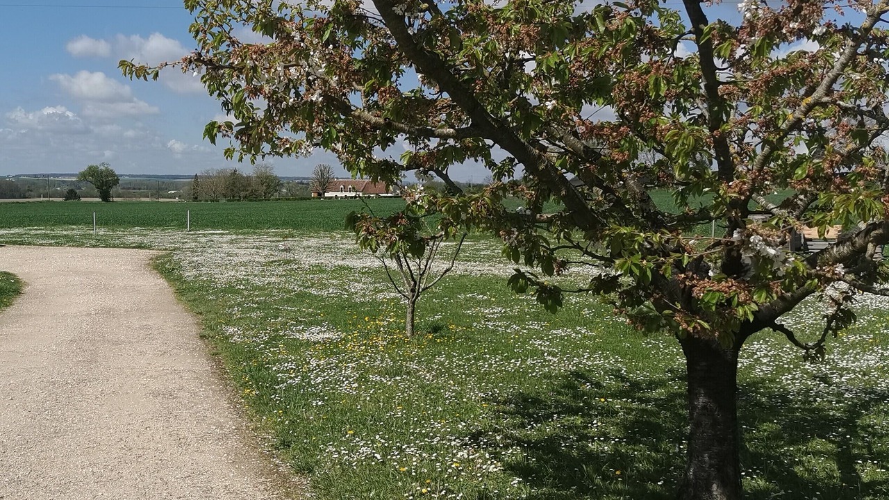 Photo of Outdoor in Trogues