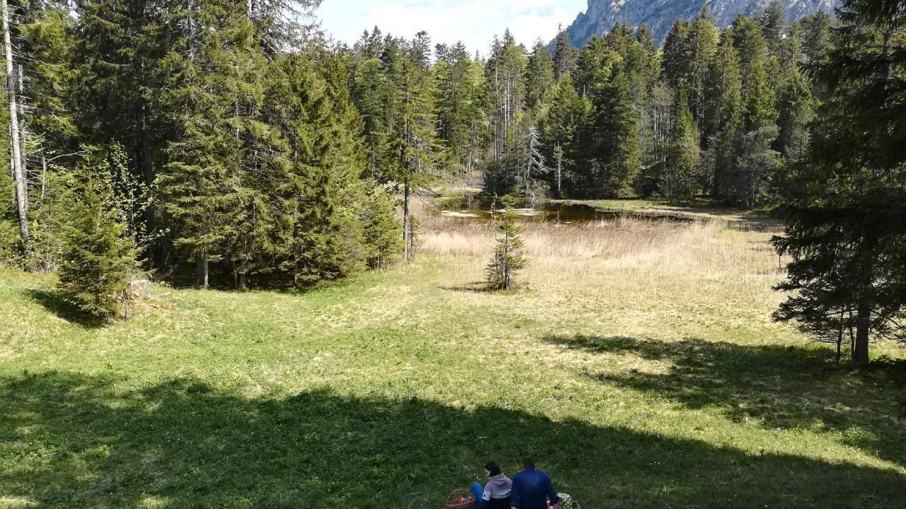 Photo of Others in Giswil