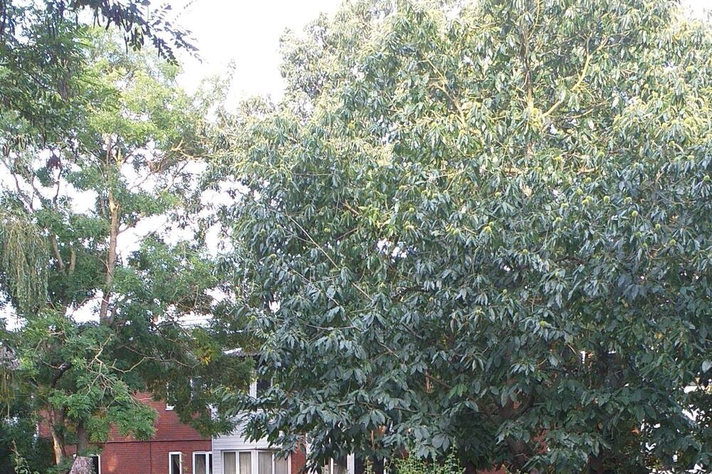 Photo of Outdoor in Bracknell