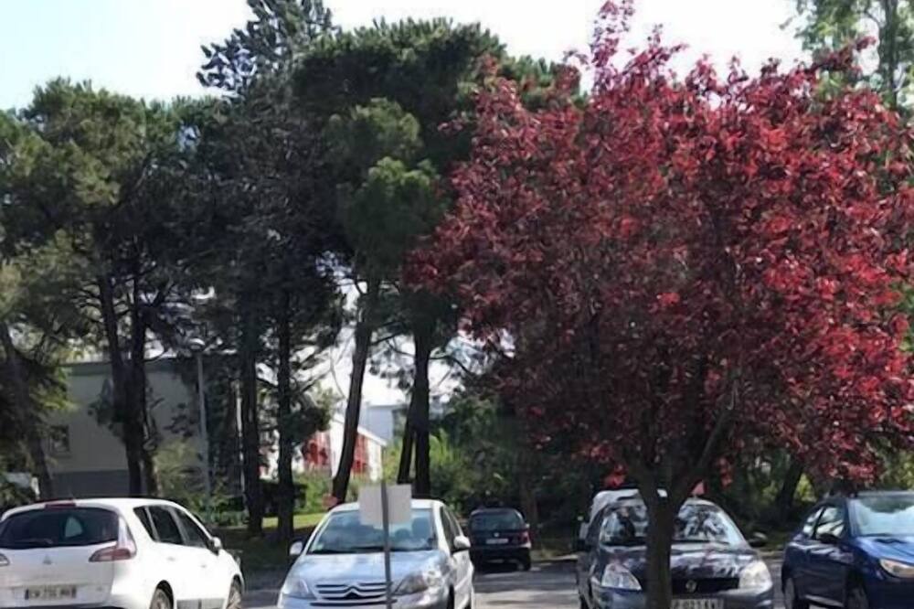 Photo of Others in Beziers